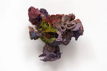 Julio Rizhi contemporary artist