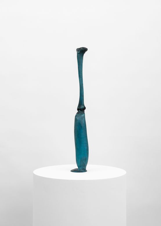 Figure et fond tibia by Jean-Luc Moulene contemporary artwork Sculpture