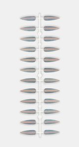 New Dish by Polly Morgan contemporary artwork sculpture