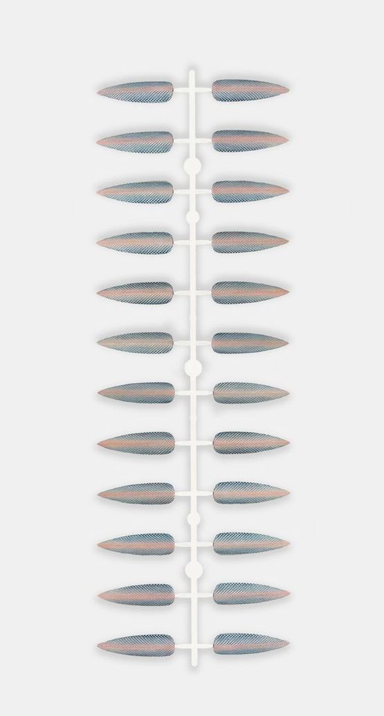 New Dish by Polly Morgan contemporary artwork Sculpture