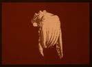 Cephalopods a hand drawn animation film project with Roberto Prual Realvis by Philippe Parreno contemporary artwork Print