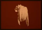 Cephalopods a hand drawn animation film project with Roberto Prual Realvis by Philippe Parreno contemporary artwork print