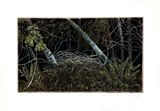 Night Forest by Billy Childish contemporary artwork print works on paper