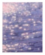 Summer  by Sicheng Wang contemporary artwork painting works on paper