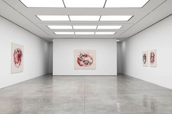 Contemporary art exhibition Christine Ay Tjoe Covered and Cover at White Cube New York United States