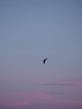 Time is the Enemy 1 by Andrea Galvani contemporary artwork photography