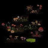 I Am an Island MushroomFlowers by Anila Quayyum Agha contemporary artwork drawing mixed media works on paper
