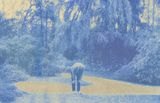 Erin takes a break by Amiko Li contemporary artwork photography print