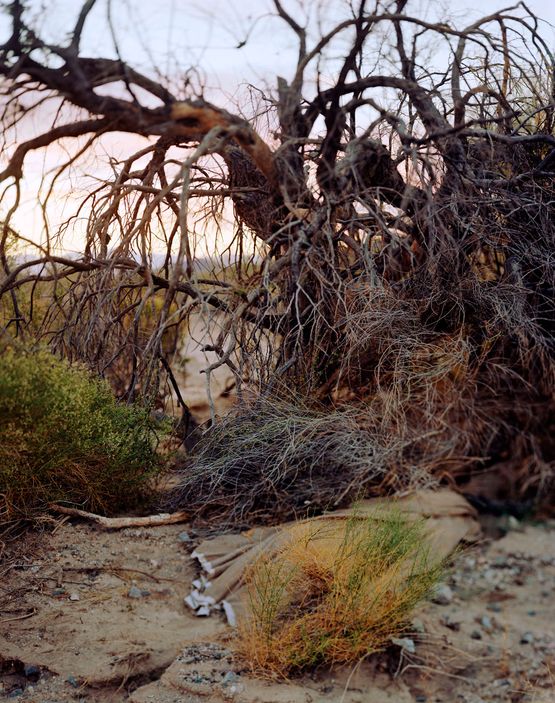 The Mecca Wash by Joyce Campbell contemporary artwork Photography