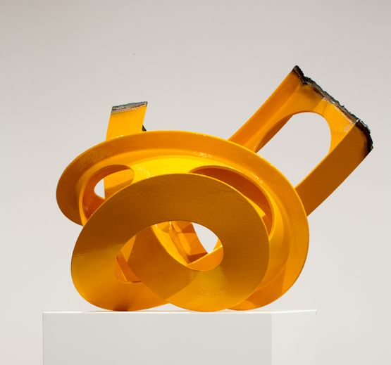 Castellated I-beam Knot by James Angus contemporary artwork Sculpture