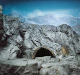 Pallass cat and mountains by Eric Pillot contemporary artwork photography