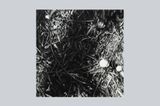 Walking in the Mountain - March  by Takeshi Honda contemporary artwork drawing works on paper