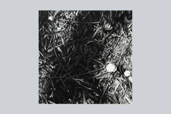 Takeshi Honda contemporary artist