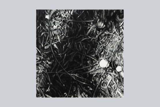 Walking in the Mountain - March  by Takeshi Honda contemporary artwork Works on Paper