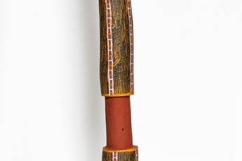 Pedro Wonaeamirri contemporary artist