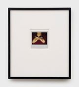 Full Lotus in 5-inch Heels by Genesis Breyer P-orridge contemporary artwork photography