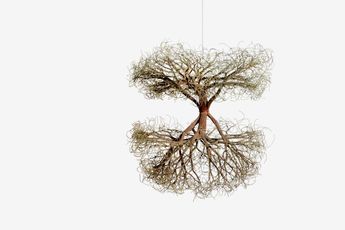 Contemporary art exhibition Ruth Asawa A Retrospective at Museum of Modern Art  MoMA New York United States