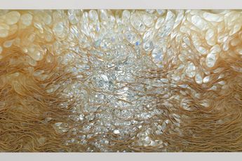 Contemporary art exhibition Tara Donovan Tara Donovans solo Exhibition at Pace Gallery Tokyo Japan