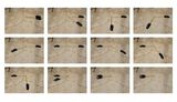 Yard by Robin Rhode contemporary artwork photography