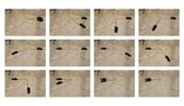 Yard by Robin Rhode contemporary artwork Photography