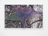 Numbers and Trees Tanzania Series 3 Acacia Tree 5 Nyambo by Charles Gaines contemporary artwork mixed media