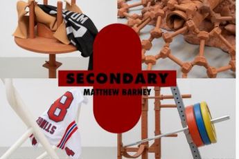 Contemporary art exhibition Matthew Barney Matthew Barney at Gladstone 530 West 21st Street New York United States