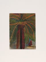 Untitled Coconut Palm Surfer by Frank Walter contemporary artwork painting works on paper