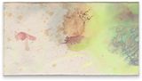 This Is My Wish by Lucy Dodd contemporary artwork painting