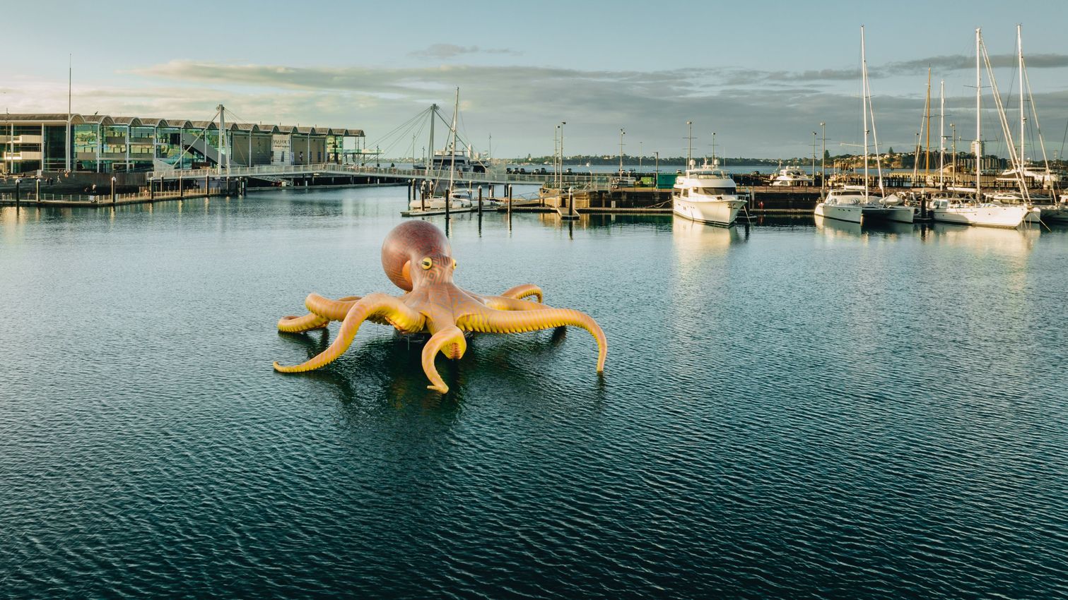 Must-See Auckland Shows Across the City of Sails This May