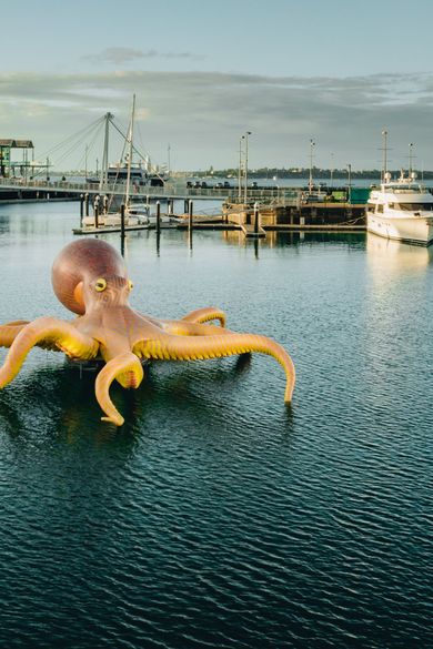 Must-See Auckland Shows Across the City of Sails This May