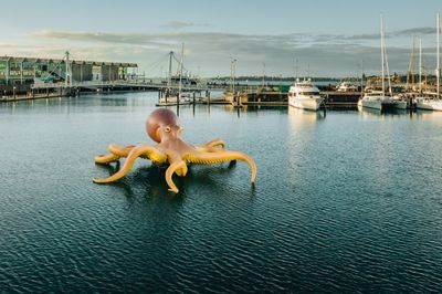 Must-See Auckland Shows Across the City of Sails This May