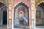 Karen Knorr contemporary artist