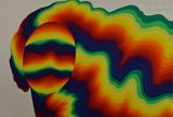 Rainbow hair B AP by Ay-O contemporary artwork painting