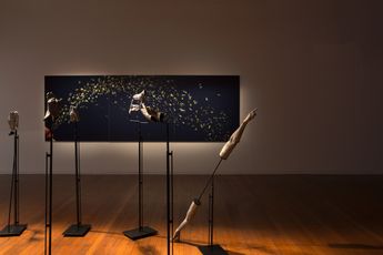 Contemporary art exhibition Julie Rrap Remaking the World at Roslyn Oxley9 Gallery Sydney Australia