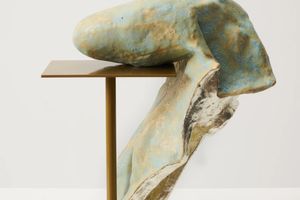 Arlene Shechet