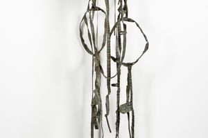 Fiona Hall