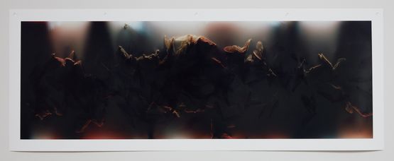 Bruissement 8 by Anne Noble contemporary artwork Photography
