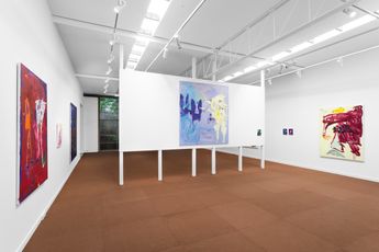 Contemporary art exhibition Tom Polo and afterwards a garden at Roslyn Oxley9 Gallery Sydney Australia