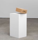 Urania  Chapter 1 The box that arrived in the mail by Renata Lucas contemporary artwork mixed media