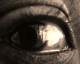 What are You by Tejal Shah contemporary artwork moving image