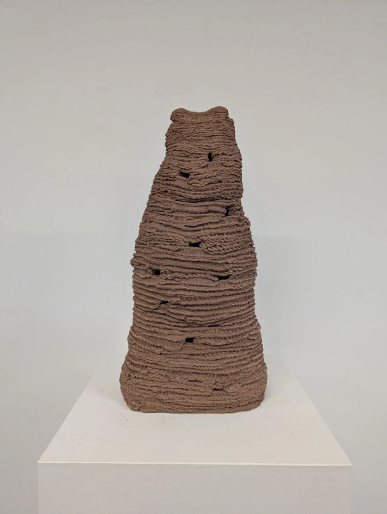 Untitled from the series Cupinzeiros by Lidia Lisboa contemporary artwork Sculpture
