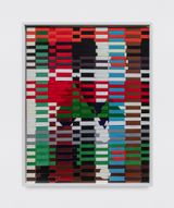 Serie Geopaisagem by Jarbas Lopes contemporary artwork textile works on paper