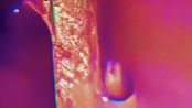 UNINVITED Unseen 02 Echo by Nye Thompson Ubermorgen contemporary artwork Moving Image