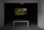 Fire Doina by Mircea Cantor contemporary artwork Moving Image