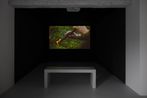 Mircea Cantor contemporary artist