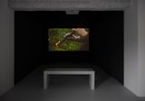 Fire Doina by Mircea Cantor contemporary artwork moving image