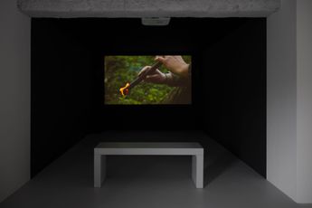 Mircea Cantor contemporary artist