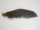 Left Wing Albay by Alfredo  Isabel Aquilizan contemporary artwork Sculpture