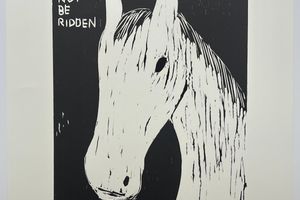 David Shrigley