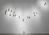 Moskitos by Lothar Baumgarten contemporary artwork sculpture
